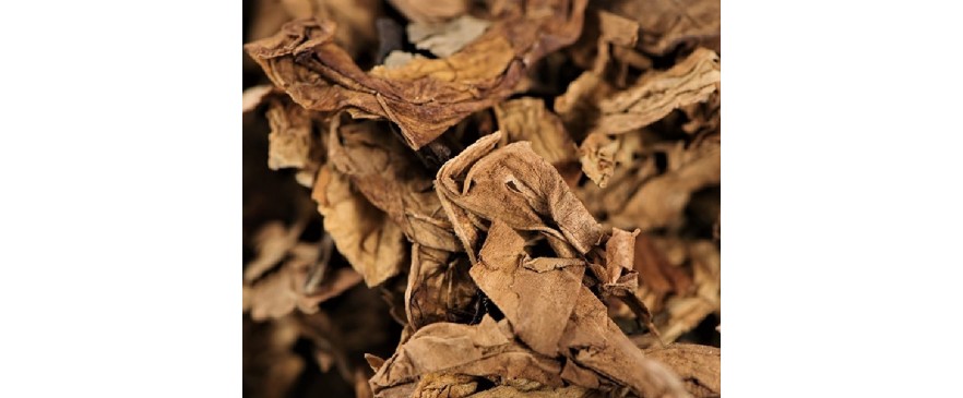 TABACCO